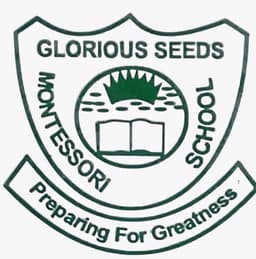 Excellence Academy  logo